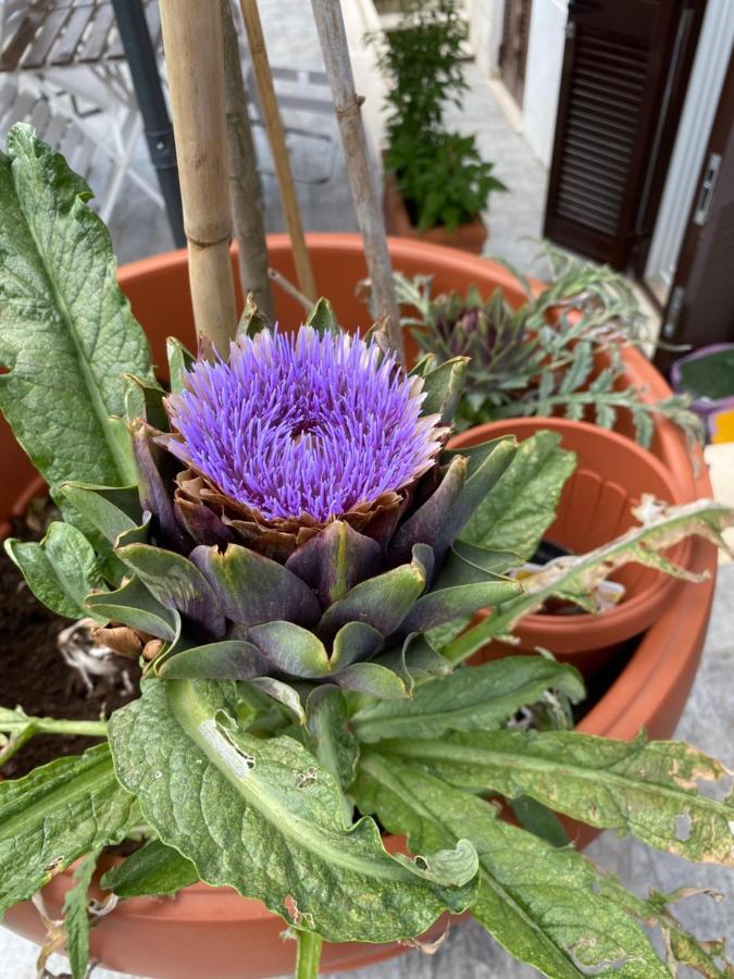 Officinale Rome Apartment, Pineta Sacchetti Экстерьер фото