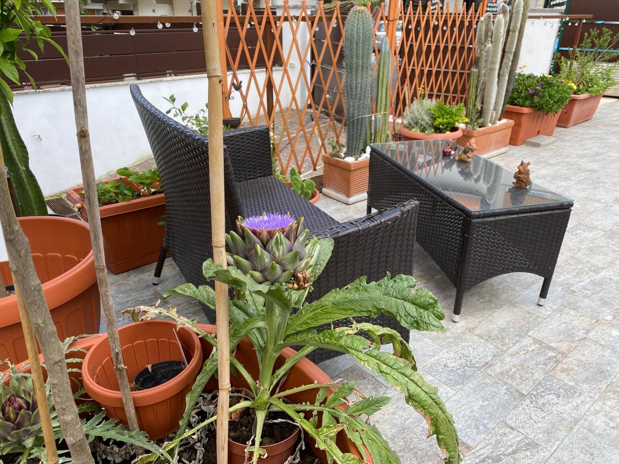 Officinale Rome Apartment, Pineta Sacchetti Экстерьер фото